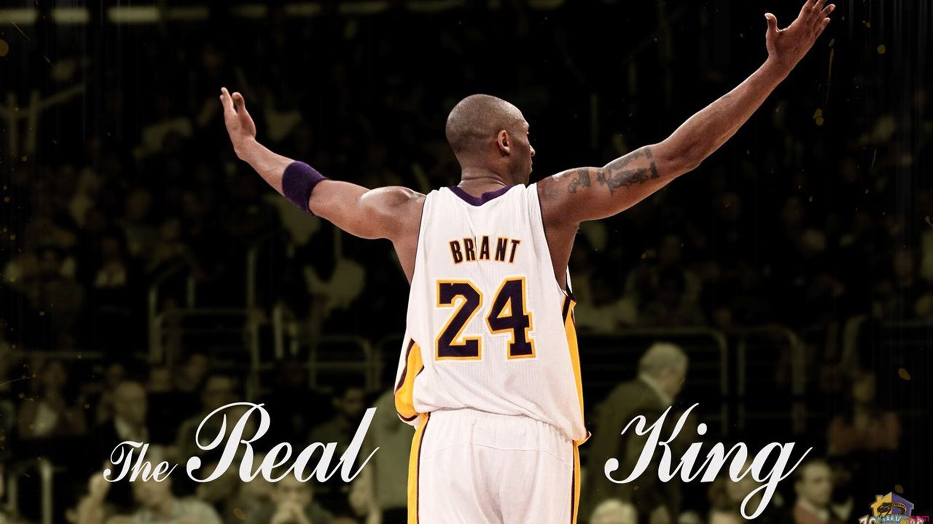 东方巨龙对阵星月铁骑，巴尔韦德如何成为中土之战的意外焦点？